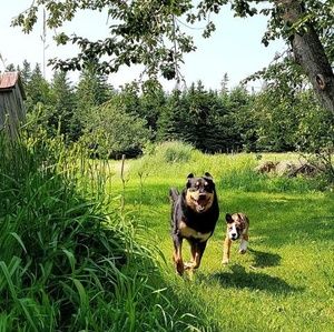 Meet your Posher, April